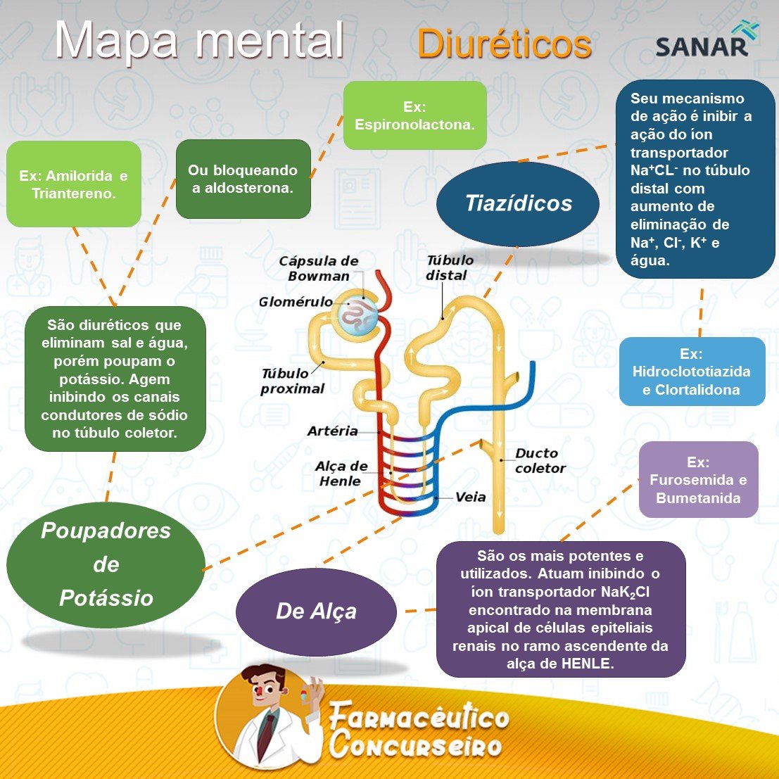 Tipos De Diuréticos : Diuréticos: o que são, tipos e quando não usar – YTRD
