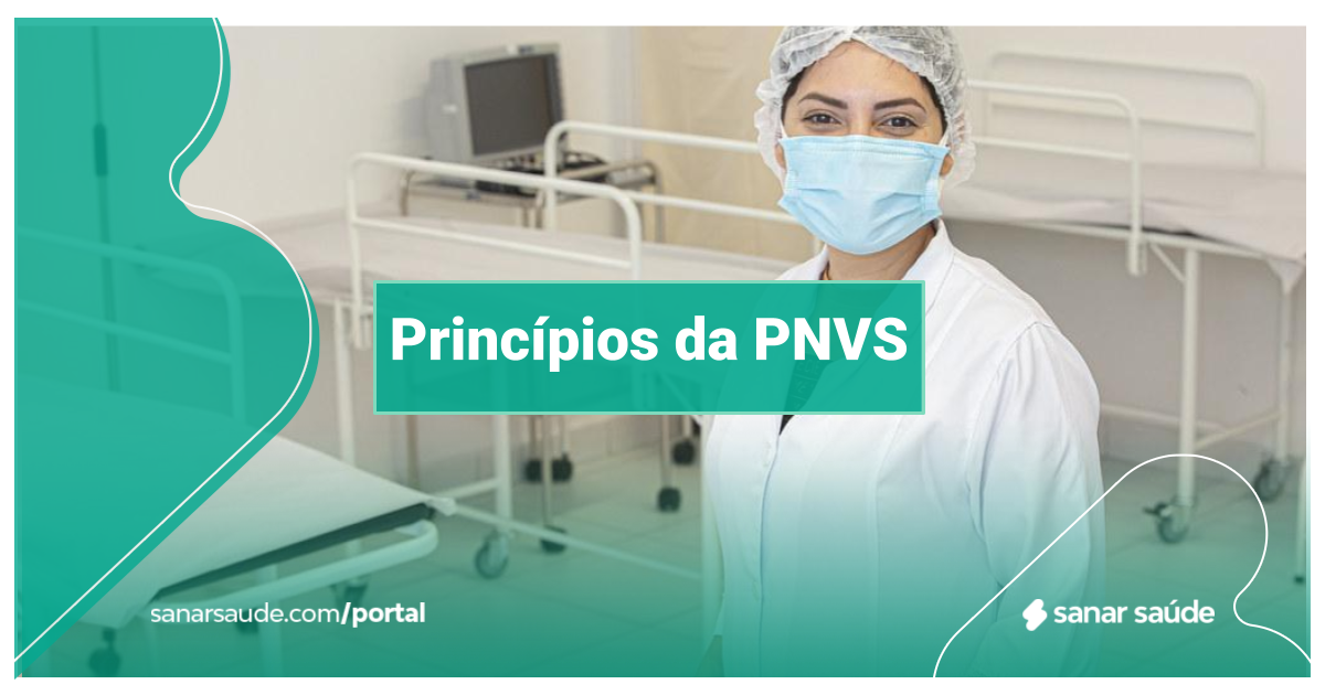 Princípios da PNVS: o que você precisa saber!